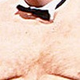 Illustration for article titled Stories That Don't Suck: SportsFeat's Guide To Funny People (And Chris Farley)